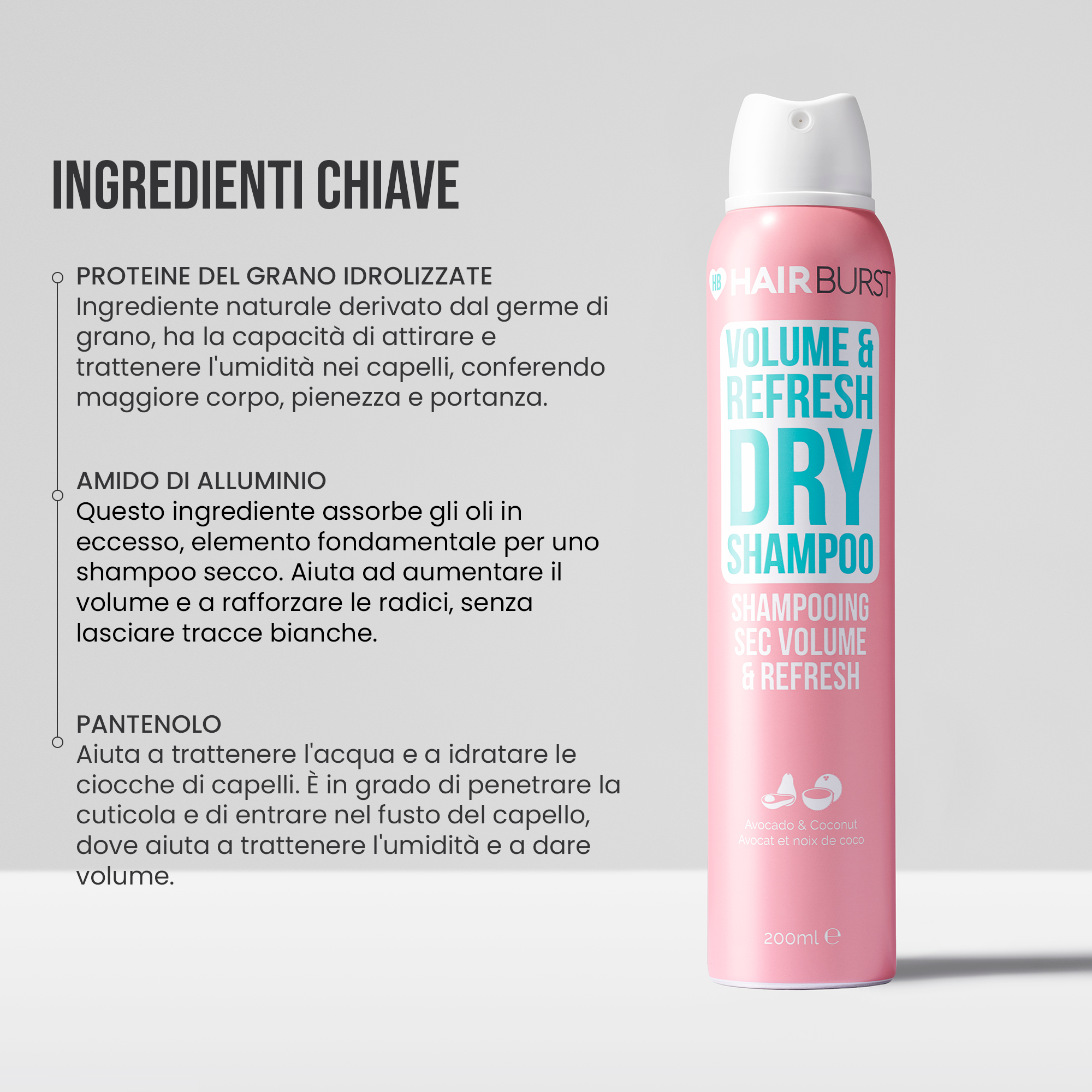 Shampoo Secco Volume & Refresh
