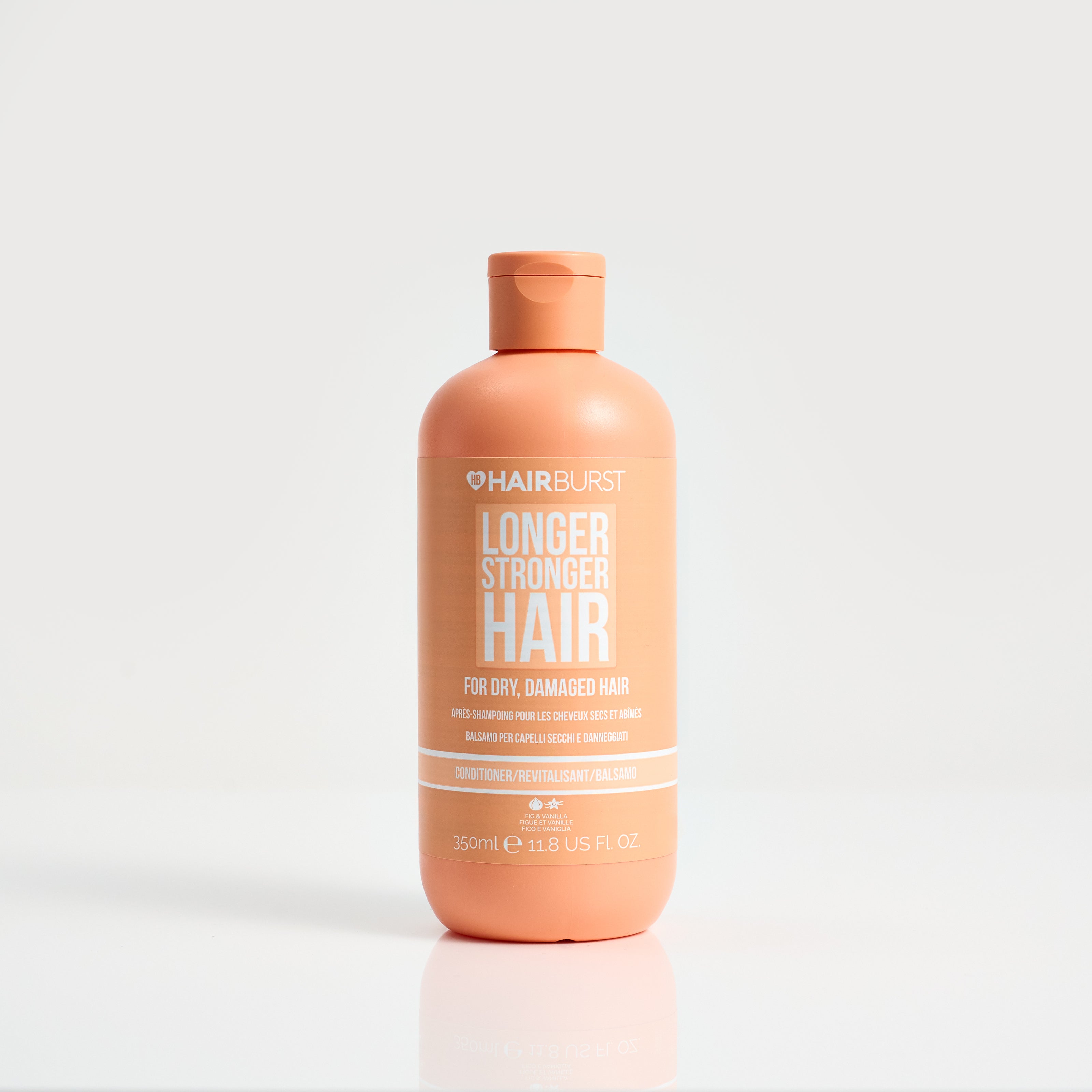 HAARallerliebst Elastici per capelli extra morbidi (10 pezzi, beige chiaro, 4 cm), con scatola per la conservazione (colore scatola: bianco; colore: beige HAARallerliebst Elastici per capelli extra morbidi (10 pezzi, beige chiaro, 4 cm), con scatola per la conservazione (colore scatola: bianco; colore: beige